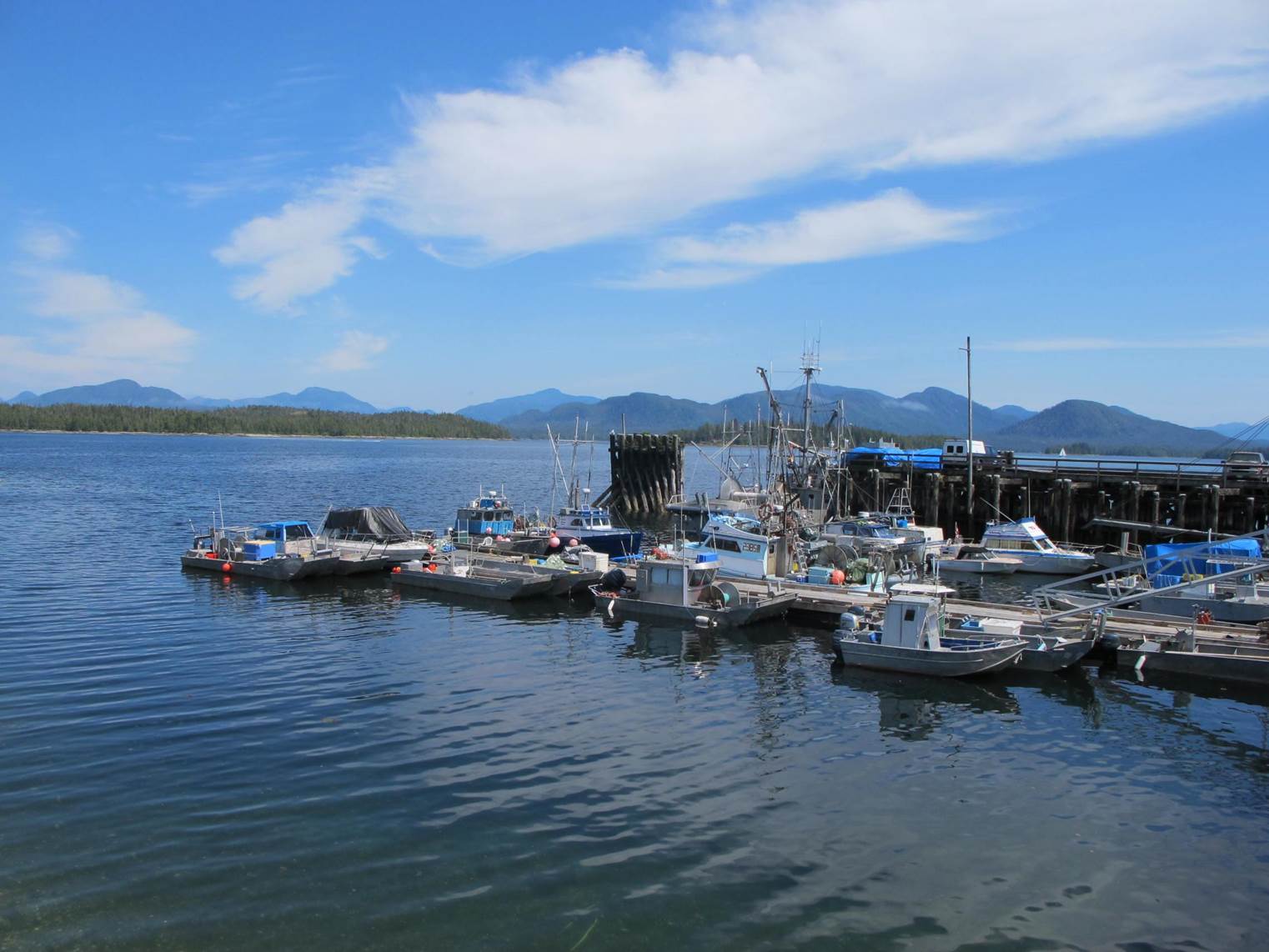 OceanCanada-S.Harper-BellaBella0