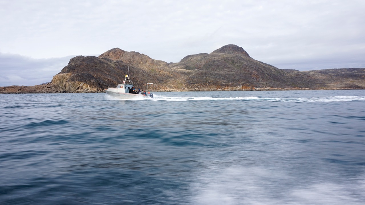 bio-natalie-baird3-1