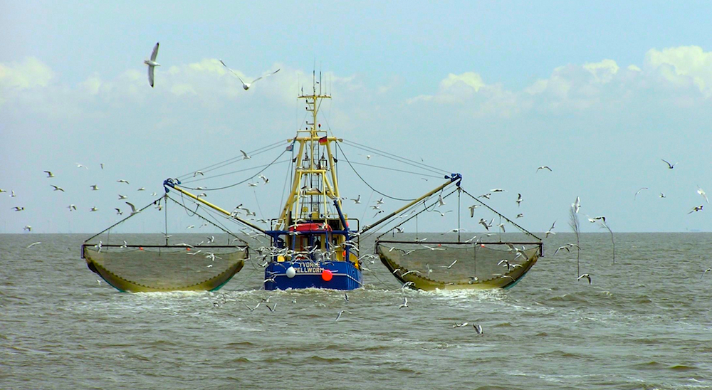 fishing-vessel