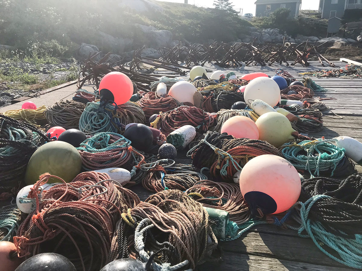 oceancanada-conference-peggys-cove-12